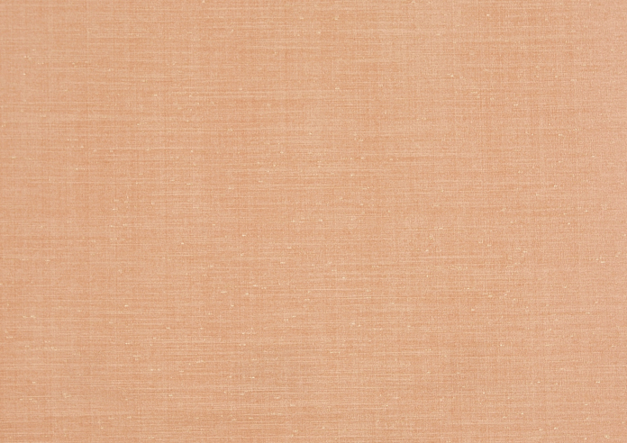 Tussah, Salmon - Fabric Only - Image 3